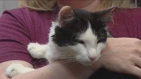 Pet of the Weekend: Meet Utopia!