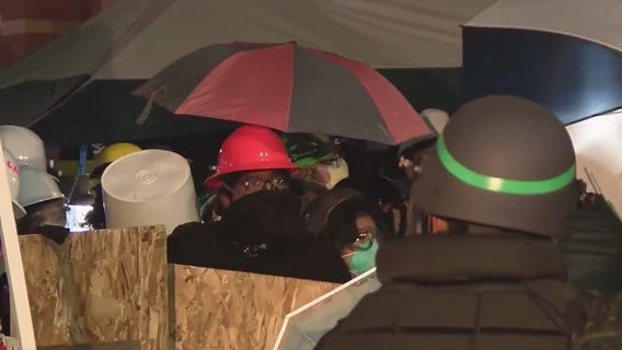 Police, pro-Palestine protesters face-to-face