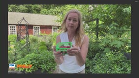 Tuesday's with Toni: Professor Farmer provides timely gardening tips