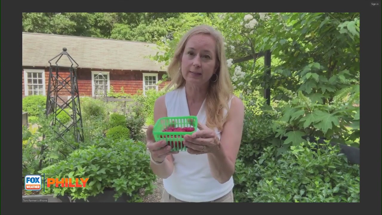 Tuesday's with Toni: Professor Farmer provides timely gardening tips