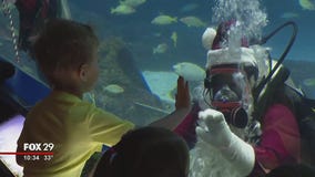 Scuba Santa goes for a dip at Adventure Aquarium