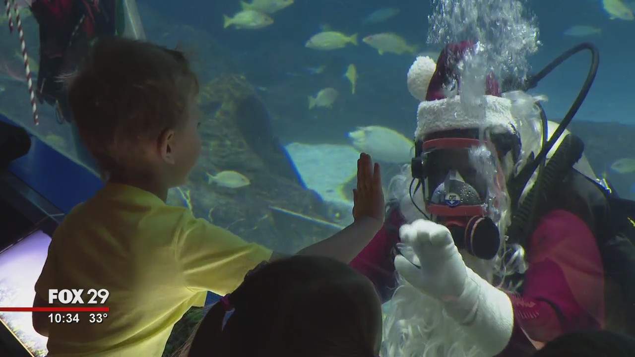 Scuba Santa goes for a dip at Adventure Aquarium