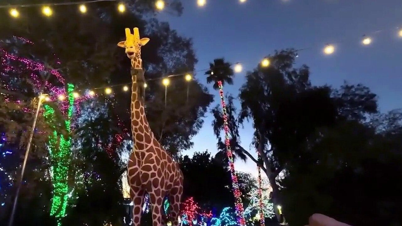 ZooLights brightens Phoenix holiday season