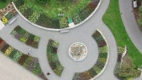 Big blooms and bright colors at The Arboretum