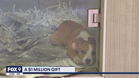 Animal Humane Society receives $1 million donation