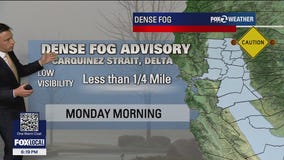 Dense fog returns