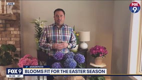 Garden Guy Dale K gives tips on maintaining your spring plants