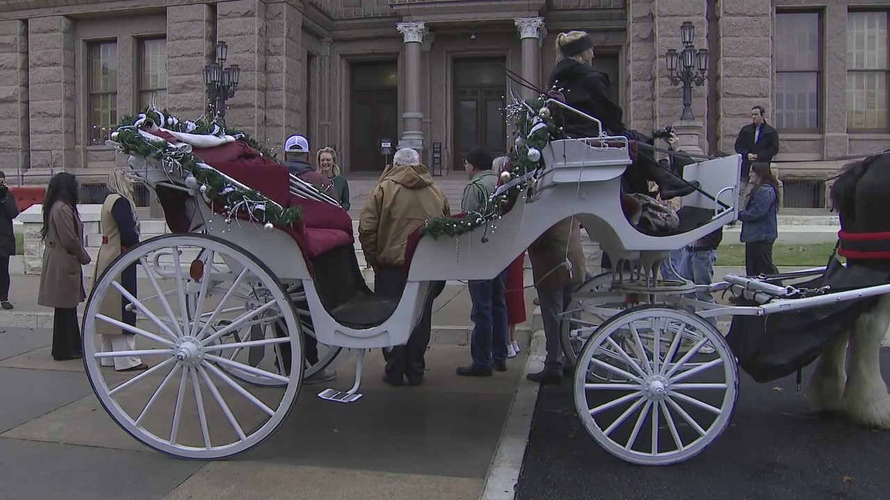 Texas Capitol Christmas Tree delivery