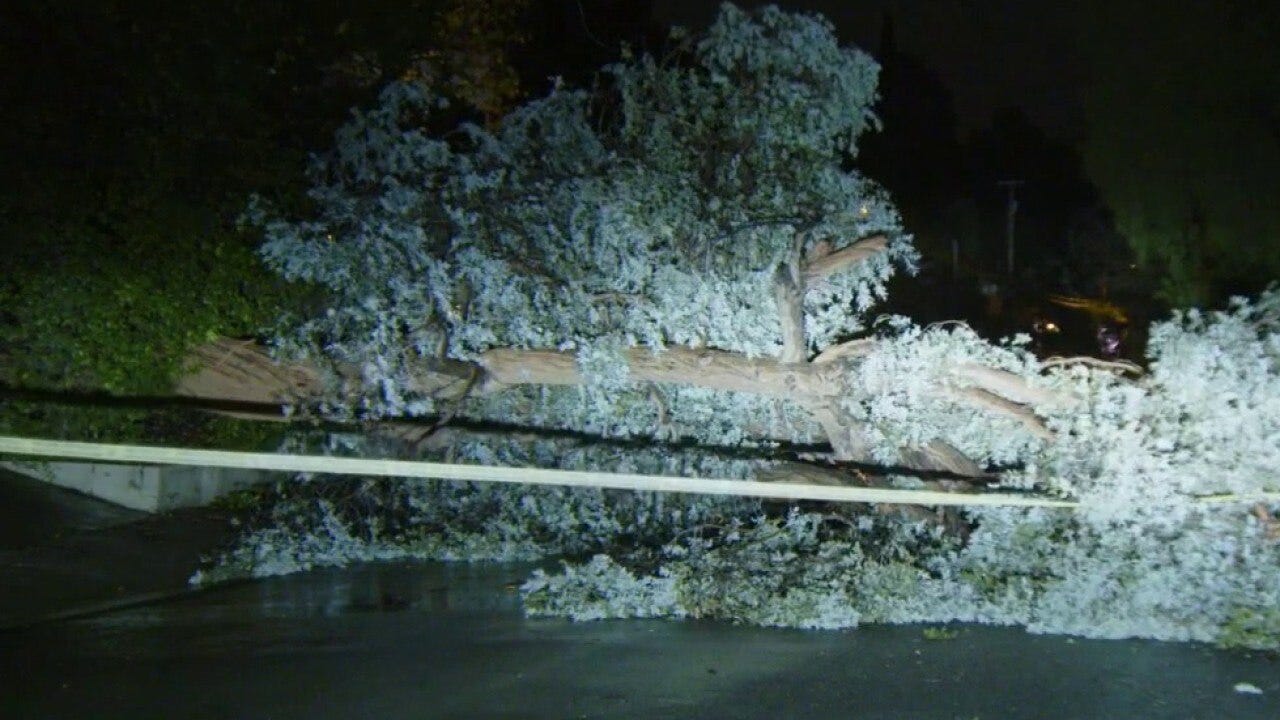Strong winds cause tree to topple over in Malibu