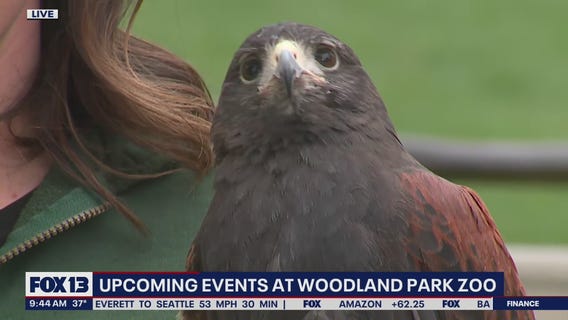 Upcoming events at Seattle's Woodland Park Zoo