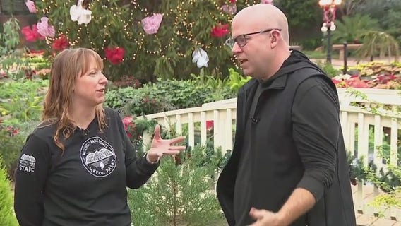 Props are custom made