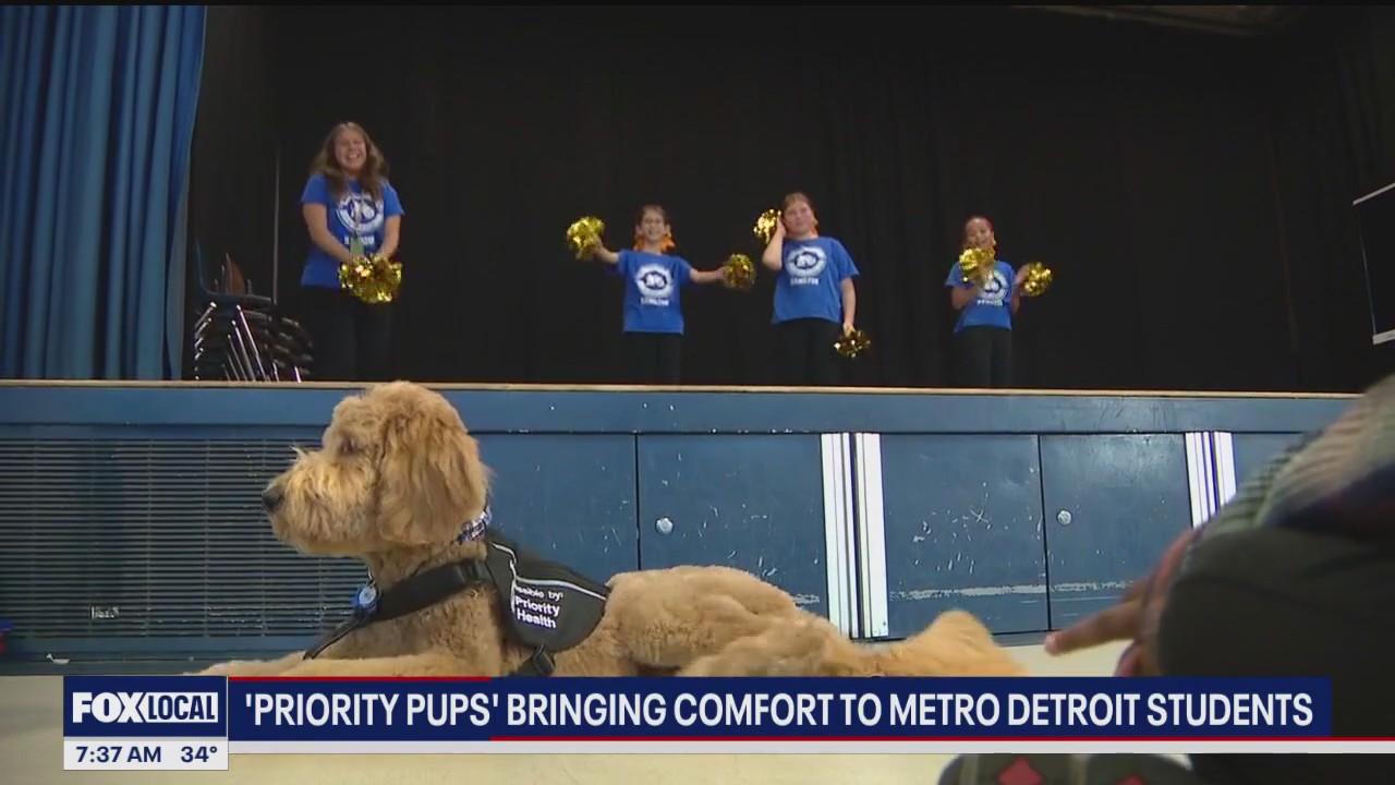 Supporting student mental health: Priority Pups program places facility dogs in Metro Detroit schools