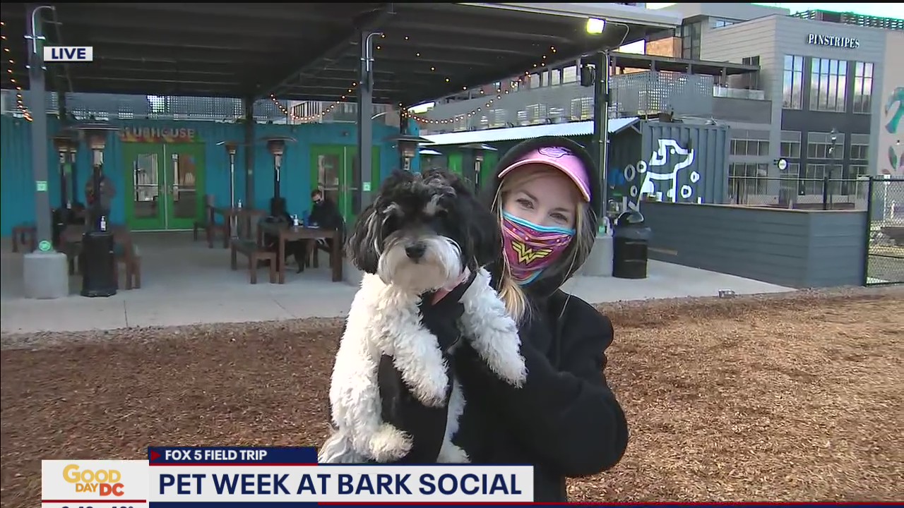 FOX 5 FIELD TRIP: Pet Week at Bark Social
