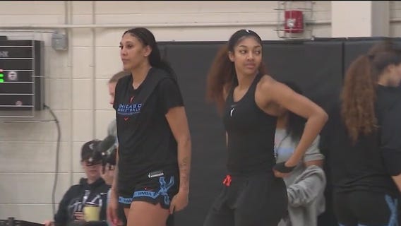 WNBA finds no evidence of racist fan behavior at Sky-Fever game