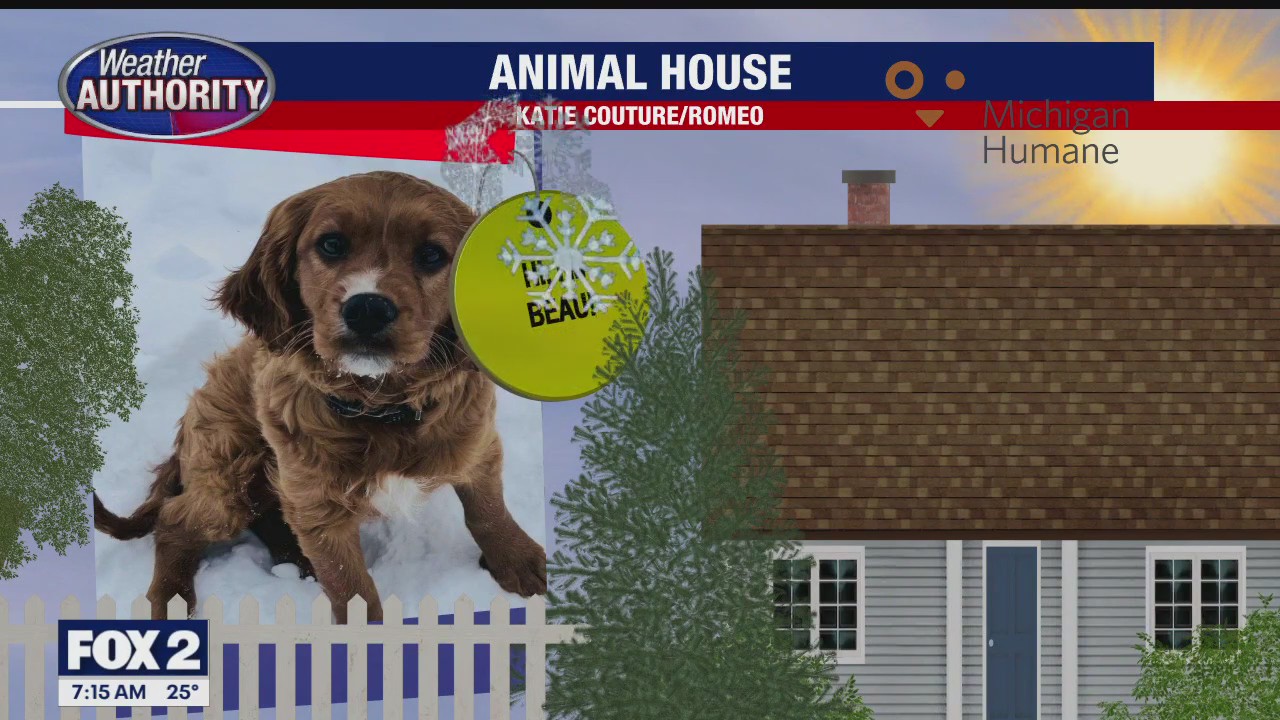 Welcome Lilith, Brida, Donnie, Beau