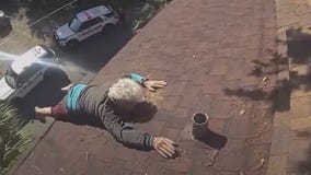 Tampa police rescue 86-year-old who got stuck on roof
