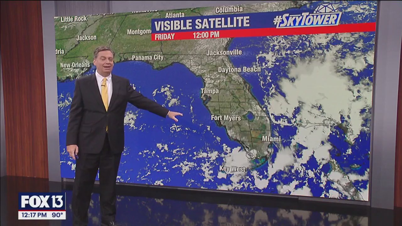 Tampa Weather | Afternoon showers possible | FOX 13 Tampa Bay