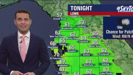 Tampa Weather | Wednesday afternoon forecast