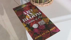 Art in Bloom at Museum of Fine Arts