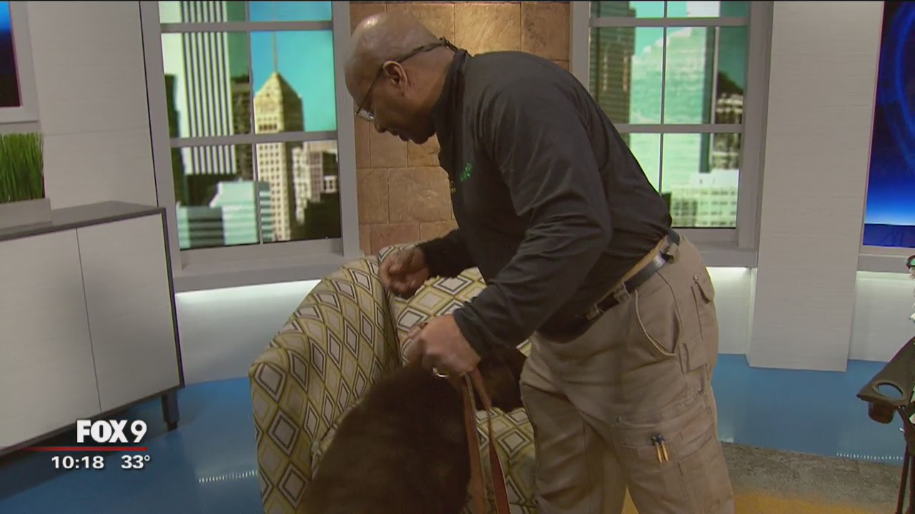 Dog training at Fox 9