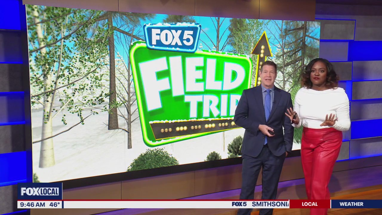 Visiting ICE! at Gaylord National Resort