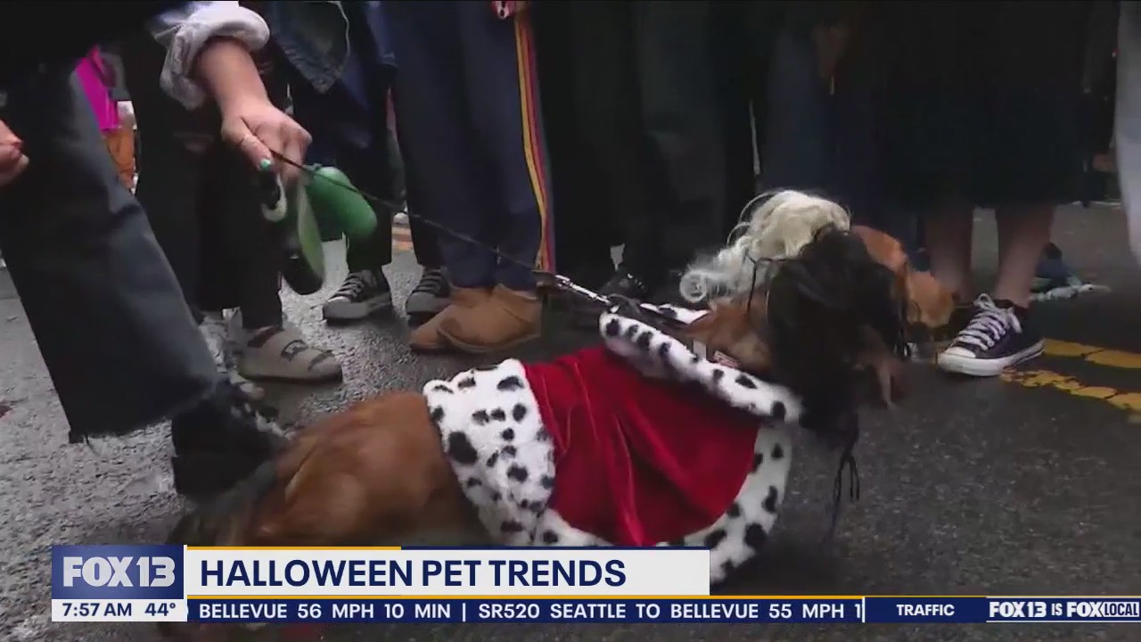 Good Day Seattle at 8am on Wednesday, 10/23