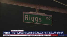 Prince George's County high school student stabbed