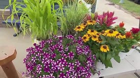 Setting up for the Minnesota State Fair