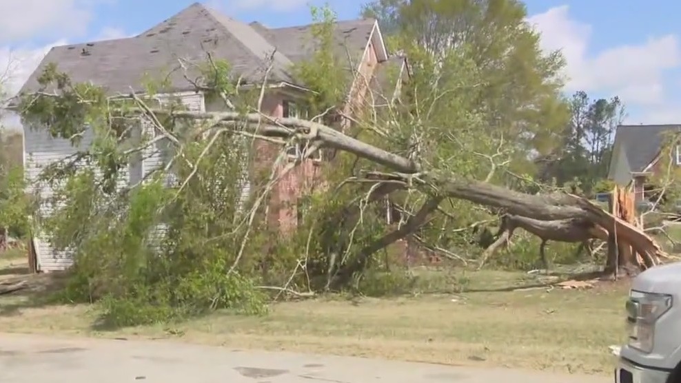 Residents cleaning up after storm in Rockdale County | FOX 5 Atlanta