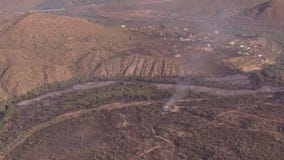 How invasive plants impact wildfires