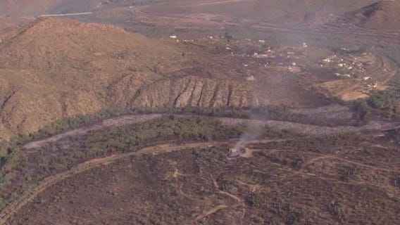 How invasive plants impact wildfires