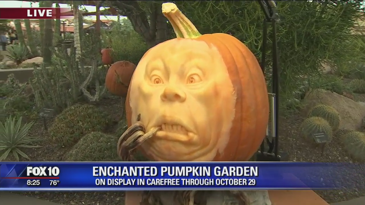 Carefree Enchanted Pumpkin Garden