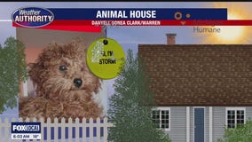 Welcome Storm, Brody, Molly