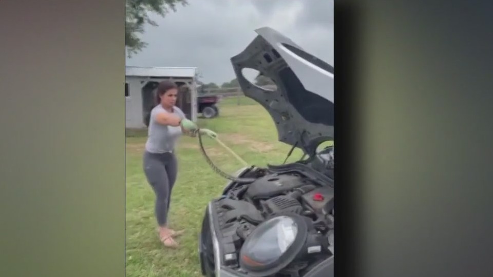 Texas mom removes snake from daughter's car engine with no hesitation: video