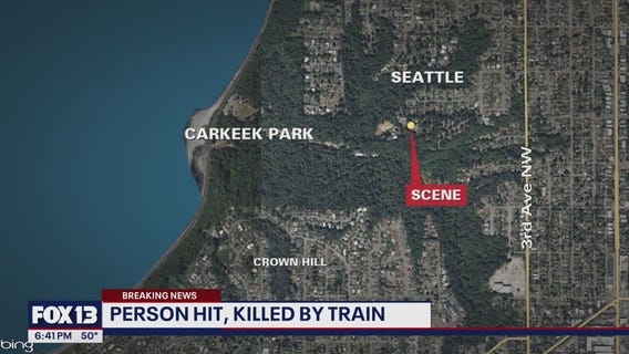 Person hit, killed by train in Seattle