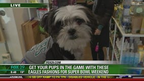 Good Day Presents: An Underdog Pup Rally