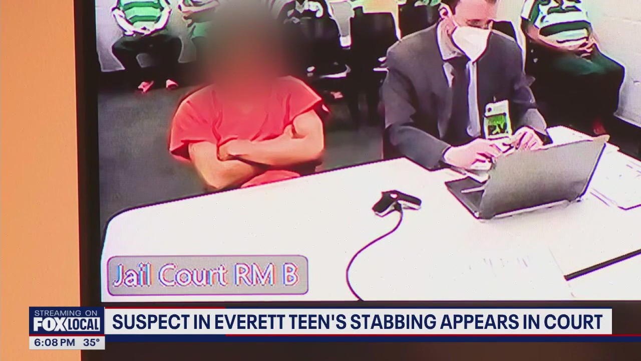 Suspect in Everett teen stabbing appears in court