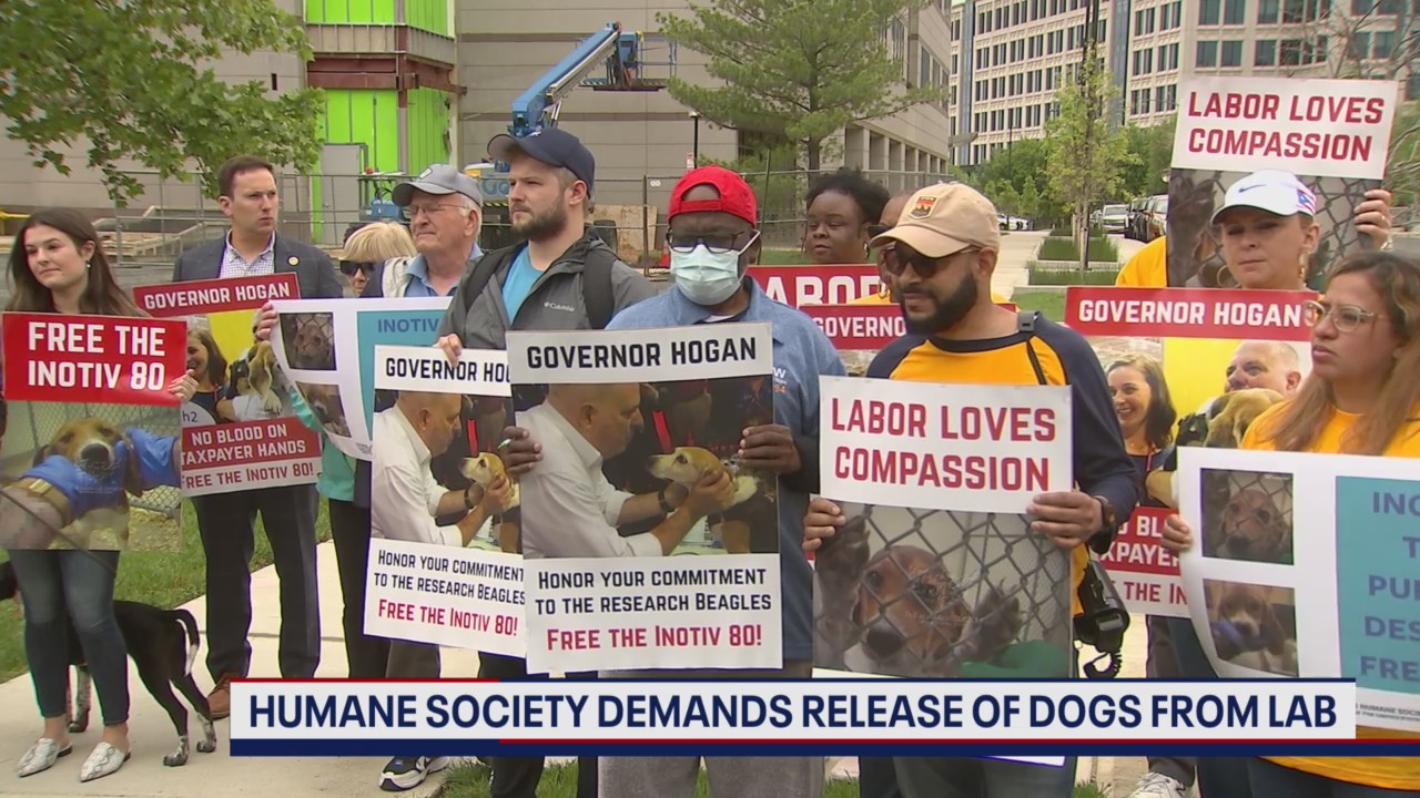Humane Release Humane Society demands release of animals used for testing | FOX 5 DC