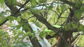 No injuries in Whitewater plane crash