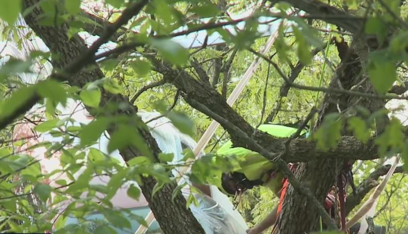 No injuries in Whitewater plane crash