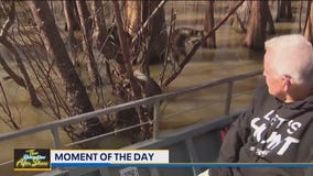 Moment of the Day: Swamp Tours and Alligator Bites