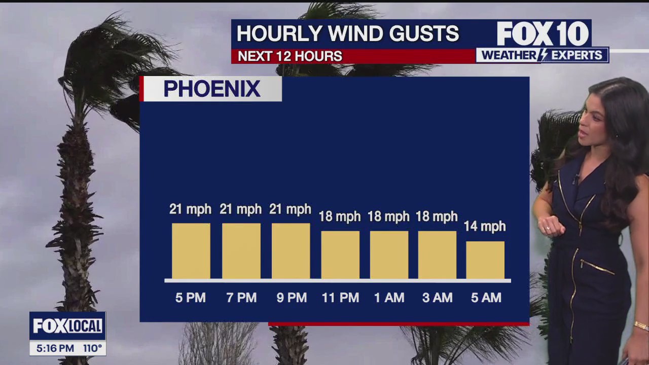 Evening Weather Forecast - 8/9/25