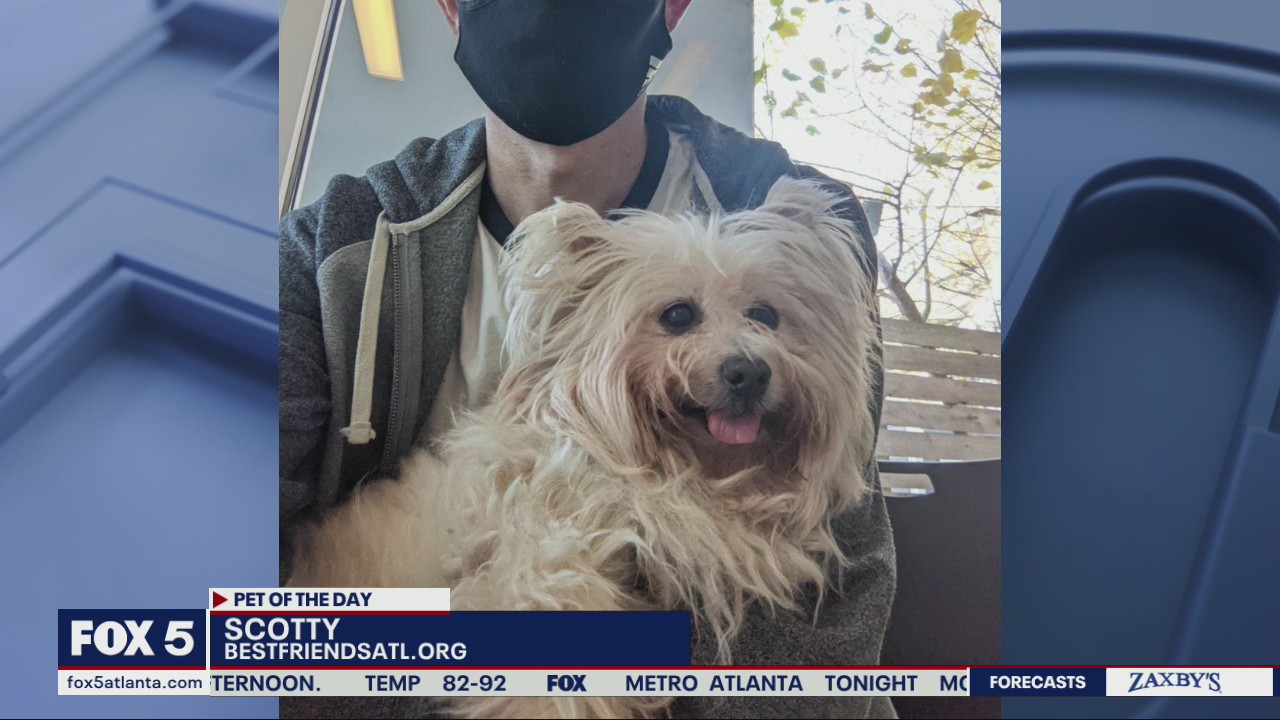 Pet of the Day from Best Friends Atlanta