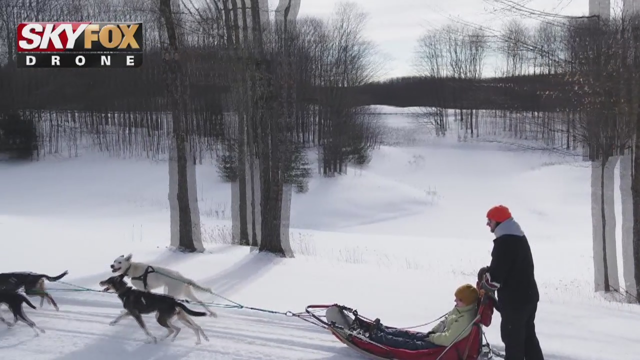 Derek Kevra gets a lesson in dog sledding on The Nine's Winter Zip Trip to Gaylord