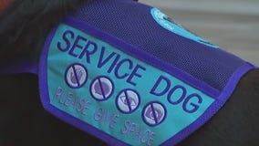 Wisconsin lawmakers tighten the leash on fake service animals
