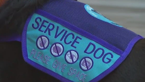 Wisconsin lawmakers tighten the leash on fake service animals