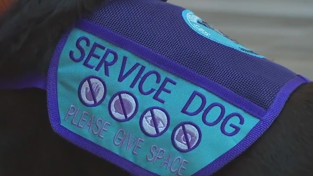 Wisconsin lawmakers tighten the leash on fake service animals