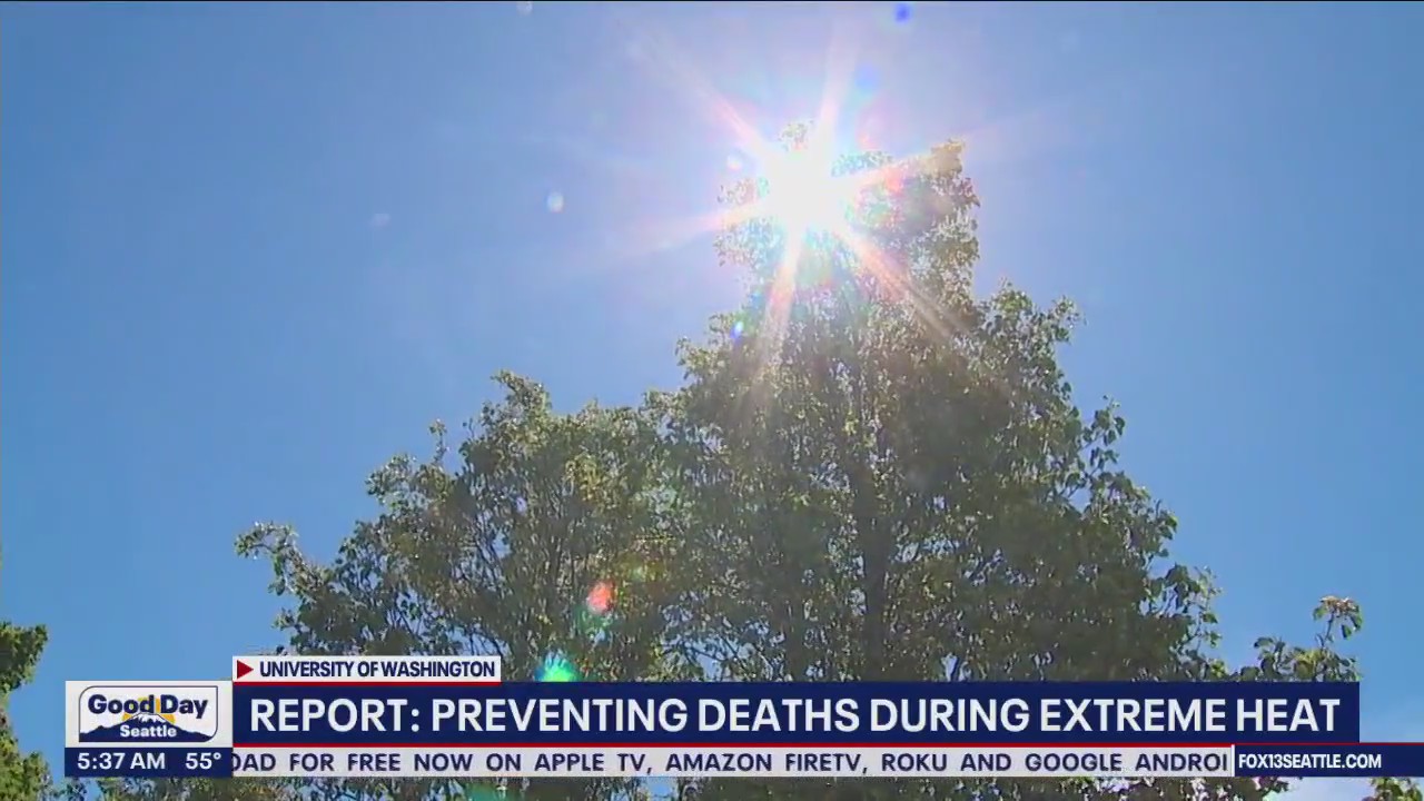 Report: Preventing deaths during extreme heat