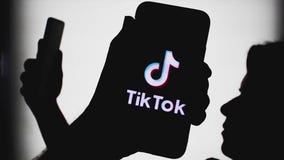 Countdown to TikTok ban has local businesses worried