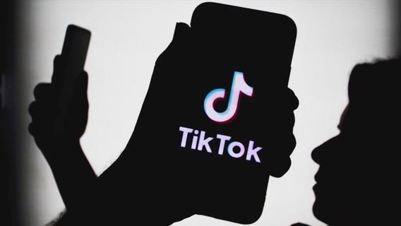 Countdown to TikTok ban has local businesses worried